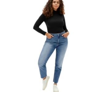Everlane The Curvy Cheeky